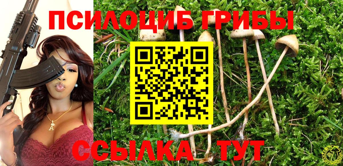 Топки  Псилоцибиновые грибы Cubensis  Вход с VPN 